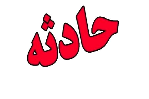 ماجرای مرگ کودک ۷ ساله در میبد/قاتل «نسیم» سگ است یا گرگ