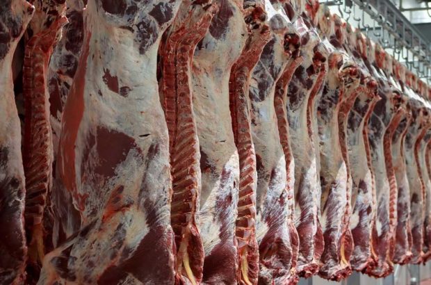 ۹۰ درصد گوشت قرمز استان یزد وارداتی است/قاچاق دام بر افزایش نرخ گوشت موثر است