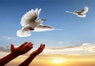 آیین آزادی ۱۳ زندانی غیرعمد از زندان های استان یزد