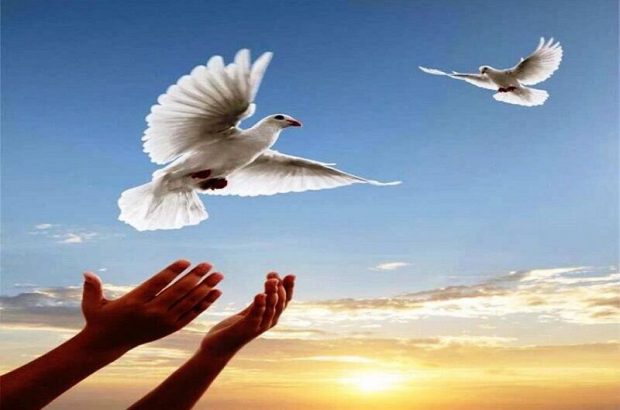 آیین آزادی ۱۳ زندانی غیرعمد از زندان های استان یزد