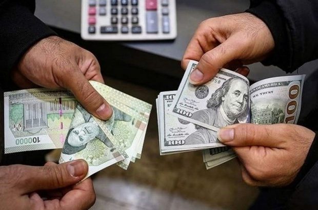 ارز به نرخ واقعی خود بر می گردد/تمام مبادلات کالایی بر اساس ارز نیمایی است