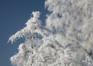 یزد در انتظار سرمای بی‌سابقه