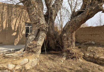 ۲ اثر طبیعی یزد ثبت ملی شد