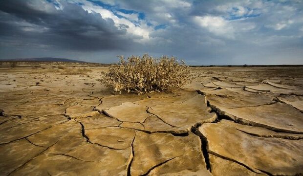 یزد در آستانه بحران زیستی و اقتصادی به‌دلیل کمبود آب