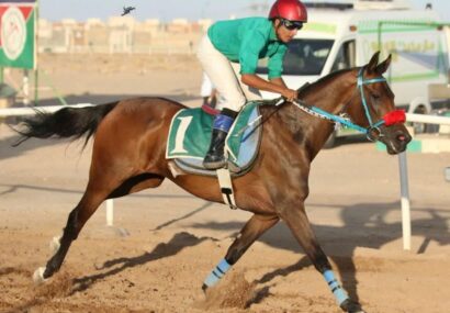 تاخت‌وتاز پاییزی اسب‌ها در هفته هشتم کورس کشور در یزد