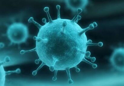 فعالیت دانشگاه‌های یزد طبق روال عادی/ادارات تعطیل نیست