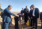 مدیرکل منابع طبیعی: ۵۰۰ هزار نهال تا پایان سال ۱۴۰۴ در یزد کاشته می‌شود