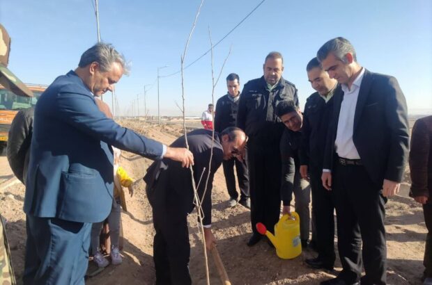 مدیرکل منابع طبیعی: ۵۰۰ هزار نهال تا پایان سال ۱۴۰۴ در یزد کاشته می‌شود